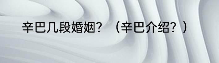 辛巴几段婚姻？（辛巴介绍？）