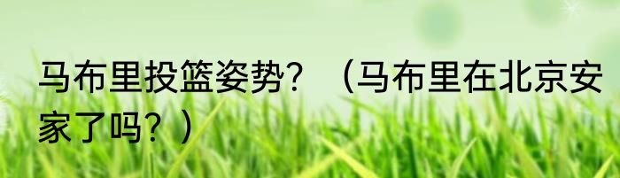 马布里投篮姿势？（马布里在北京安家了吗？）