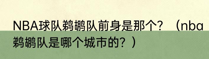 NBA球队鹈鹕队前身是那个？（nba鹈鹕队是哪个城市的？）