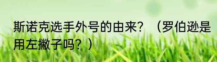 斯诺克选手外号的由来？（罗伯逊是用左撇子吗？）