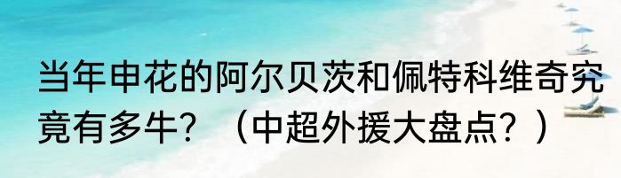 当年申花的阿尔贝茨和佩特科维奇究竟有多牛？（中超外援大盘点？）