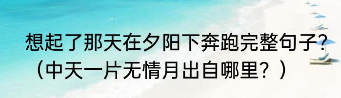 想起了那天在夕阳下奔跑完整句子？（中天一片无情月出自哪里？）