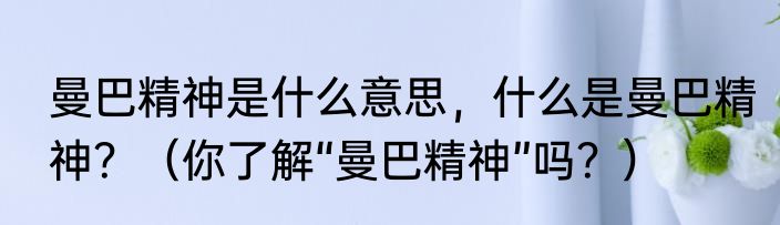 曼巴精神是什么意思，什么是曼巴精神？（你了解“曼巴精神”吗？）