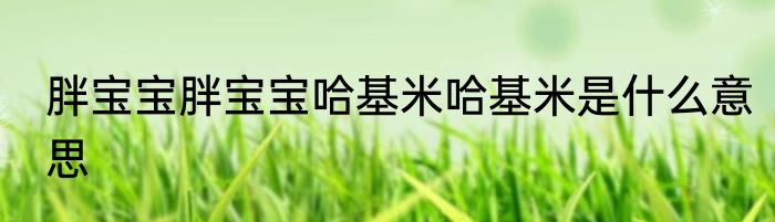 胖宝宝胖宝宝哈基米哈基米是什么意思
