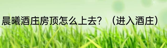 晨曦酒庄房顶怎么上去？（进入酒庄）