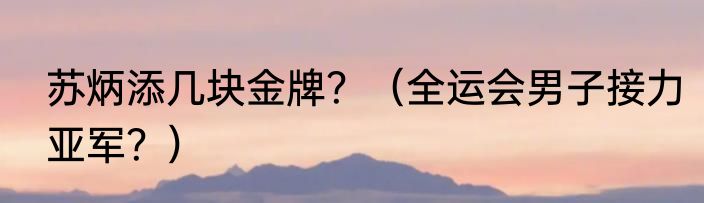 苏炳添几块金牌？（全运会男子接力亚军？）