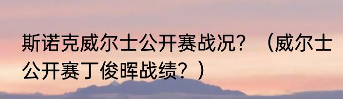 斯诺克威尔士公开赛战况？（威尔士公开赛丁俊晖战绩？）