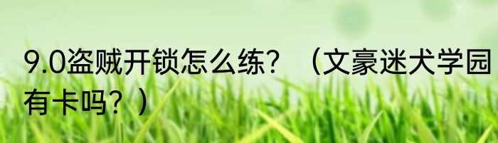 9.0盗贼开锁怎么练？（文豪迷犬学园有卡吗？）