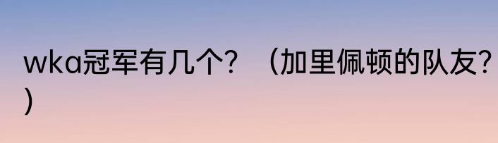 wka冠军有几个？（加里佩顿的队友？）