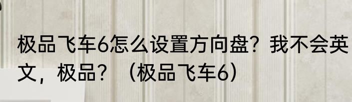 极品飞车6怎么设置方向盘？我不会英文，极品？（极品飞车6）