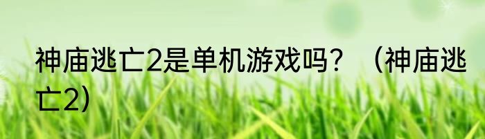 神庙逃亡2是单机游戏吗？（神庙逃亡2）