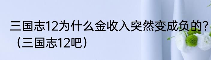三国志12为什么金收入突然变成负的？（三国志12吧）