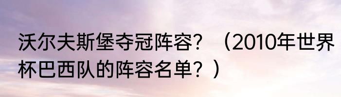 沃尔夫斯堡夺冠阵容？（2010年世界杯巴西队的阵容名单？）