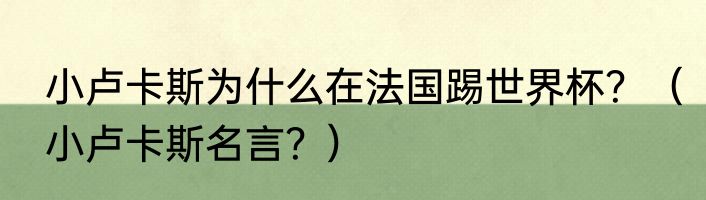 小卢卡斯为什么在法国踢世界杯？（小卢卡斯名言？）