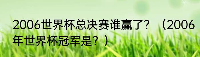 2006世界杯总决赛谁赢了？（2006年世界杯冠军是？）