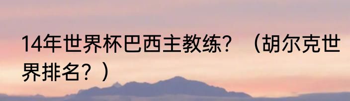 14年世界杯巴西主教练？（胡尔克世界排名？）