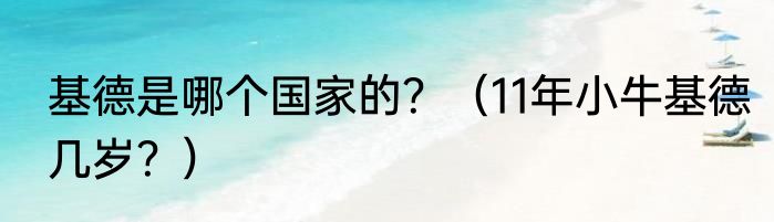 基德是哪个国家的？（11年小牛基德几岁？）