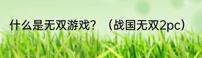 什么是无双游戏？（战国无双2pc）