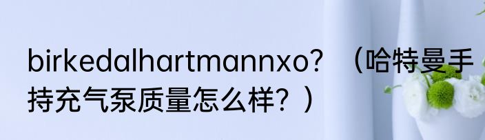 birkedalhartmannxo？（哈特曼手持充气泵质量怎么样？）