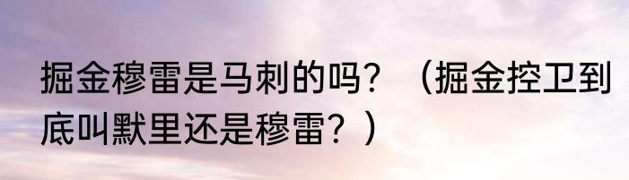掘金穆雷是马刺的吗？（掘金控卫到底叫默里还是穆雷？）