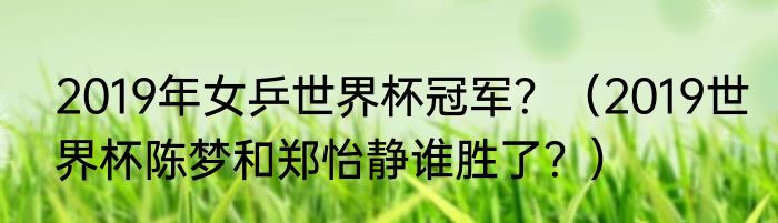 2019年女乒世界杯冠军？（2019世界杯陈梦和郑怡静谁胜了？）