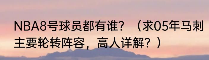 NBA8号球员都有谁？（求05年马刺主要轮转阵容，高人详解？）