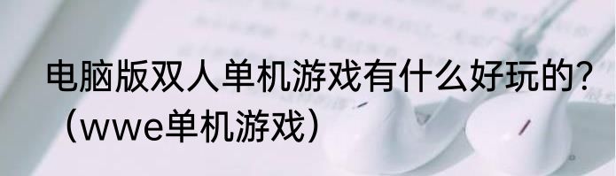 电脑版双人单机游戏有什么好玩的？（wwe单机游戏）