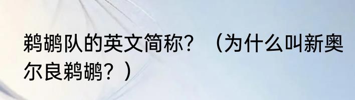 鹈鹕队的英文简称？（为什么叫新奥尔良鹈鹕？）