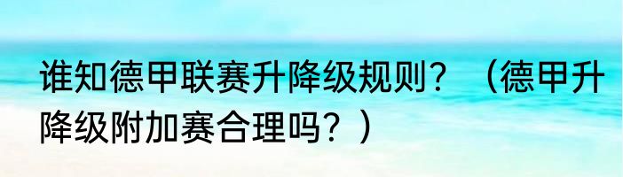 谁知德甲联赛升降级规则？（德甲升降级附加赛合理吗？）