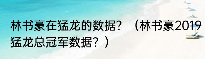 林书豪在猛龙的数据？（林书豪2019猛龙总冠军数据？）