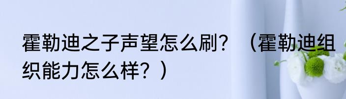 霍勒迪之子声望怎么刷？（霍勒迪组织能力怎么样？）