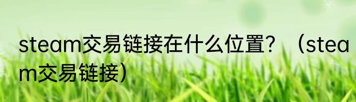 steam交易链接在什么位置？（steam交易链接）