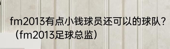 fm2013有点小钱球员还可以的球队？（fm2013足球总监）