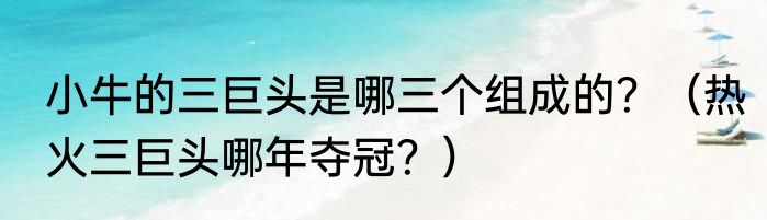 小牛的三巨头是哪三个组成的？（热火三巨头哪年夺冠？）