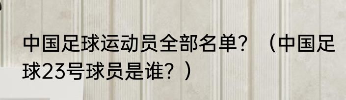 中国足球运动员全部名单？（中国足球23号球员是谁？）