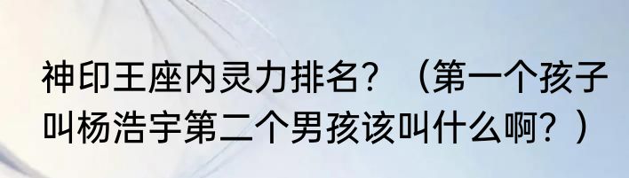 神印王座内灵力排名？（第一个孩子叫杨浩宇第二个男孩该叫什么啊？）