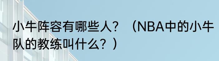 小牛阵容有哪些人？（NBA中的小牛队的教练叫什么？）