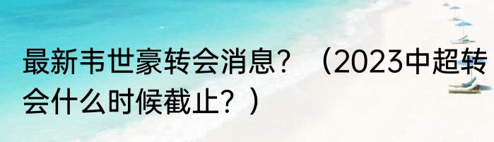 最新韦世豪转会消息？（2023中超转会什么时候截止？）
