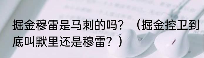 掘金穆雷是马刺的吗？（掘金控卫到底叫默里还是穆雷？）