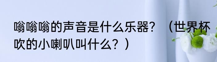 嗡嗡嗡的声音是什么乐器？（世界杯吹的小喇叭叫什么？）