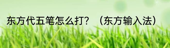 东方代五笔怎么打？（东方输入法）