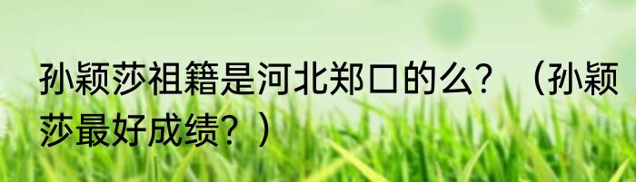 孙颖莎祖籍是河北郑口的么？（孙颖莎最好成绩？）