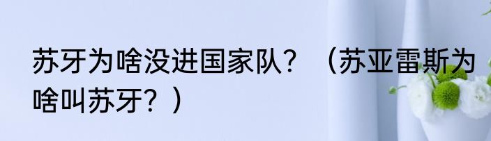 苏牙为啥没进国家队？（苏亚雷斯为啥叫苏牙？）