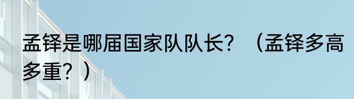 孟铎是哪届国家队队长？（孟铎多高多重？）