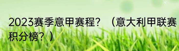 2023赛季意甲赛程？（意大利甲联赛积分榜？）