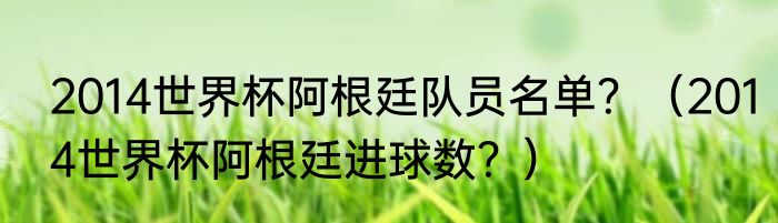 2014世界杯阿根廷队员名单？（2014世界杯阿根廷进球数？）