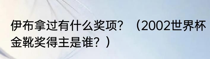伊布拿过有什么奖项？（2002世界杯金靴奖得主是谁？）