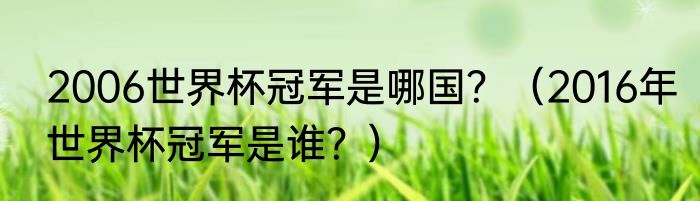 2006世界杯冠军是哪国？（2016年世界杯冠军是谁？）