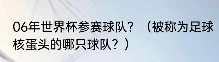 06年世界杯参赛球队？（被称为足球核蛋头的哪只球队？）