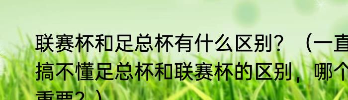 联赛杯和足总杯有什么区别？（一直搞不懂足总杯和联赛杯的区别，哪个重要？）